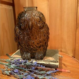 Vintage Libbey Glass “Wise Ole Owl” Smokey Glass Coin bank